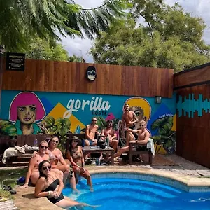  Hostel Gorilla